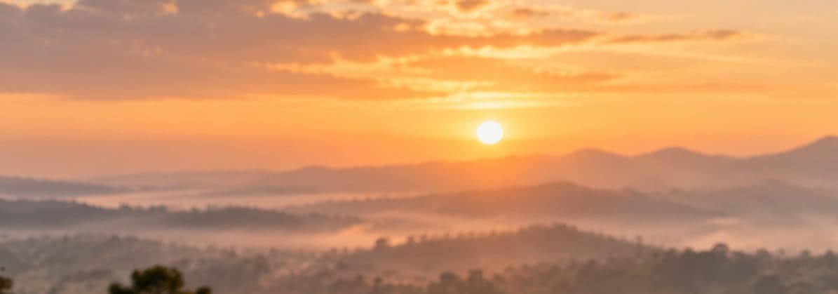 Vallée boisée et montagnes dans la brume, au lever du soleil